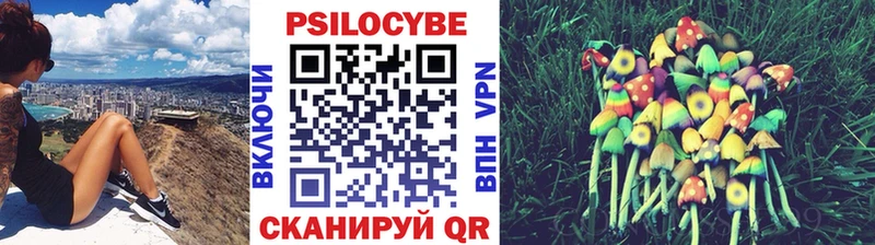 Галлюциногенные грибы Cubensis  купить закладку  Усть-Лабинск 