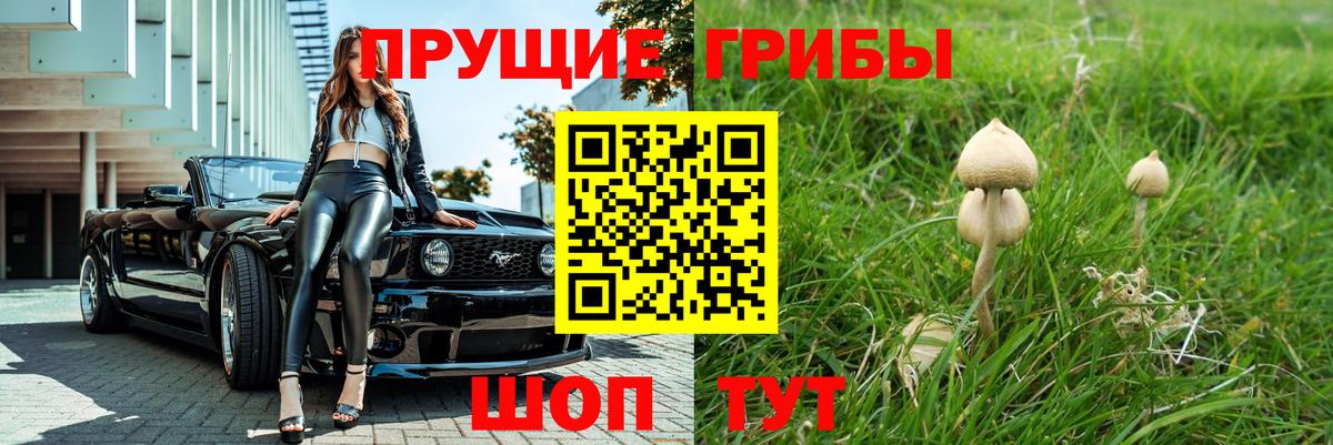 Галлюциногенные грибы Psilocybe  Вход с VPN  Усть-Лабинск  как найти закладки  Псилоцибиновые грибы ЛСД 