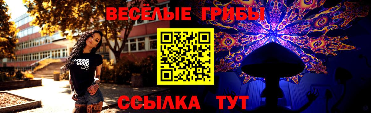 Галлюциногенные грибы Cubensis Усть-Лабинск